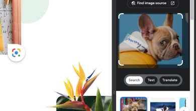Cara menggunakan Google Lens di Chrome