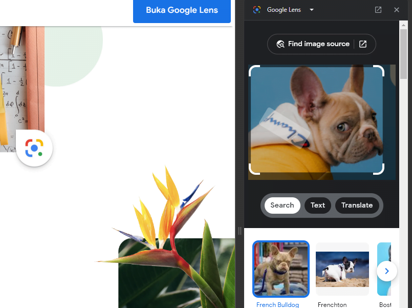 Cara menggunakan Google Lens di Chrome