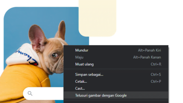 Google Lens Web