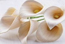 Cara Membuat Bunga dari Kulit Jagung