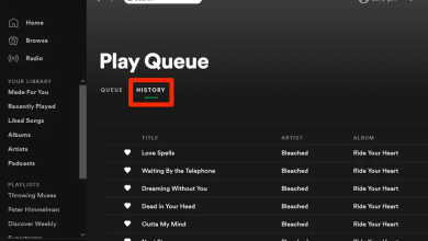 Cara Melihat History Spotify