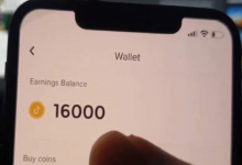 Cara Menukar Koin TikTok Menjadi Uang atau Saldo