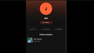 cara mengganti nama pengguna spotify