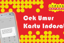 Masa Tenggang Kartu Indosat