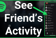 Cara Melihat Friend Activity Spotify di HP