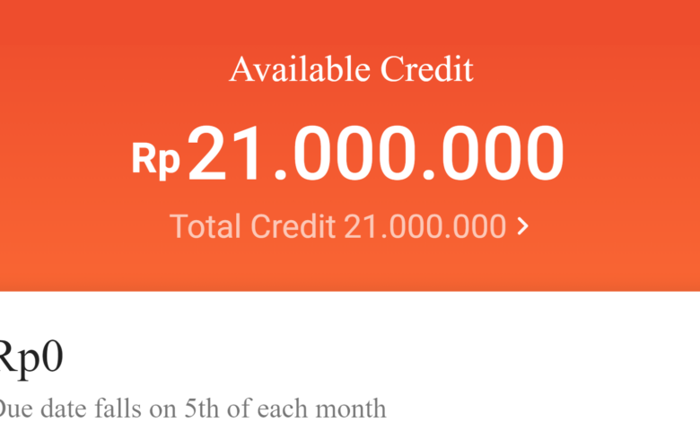 Cara Menghapus Shopee Paylater