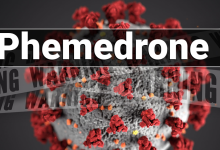 Virus Phemedrone Stealer