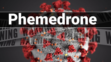 Virus Phemedrone Stealer