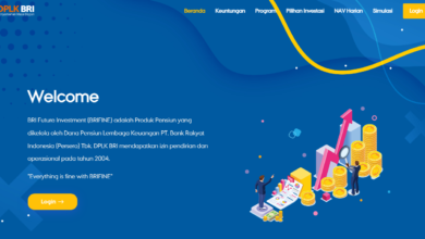 Portal DPLK BRI