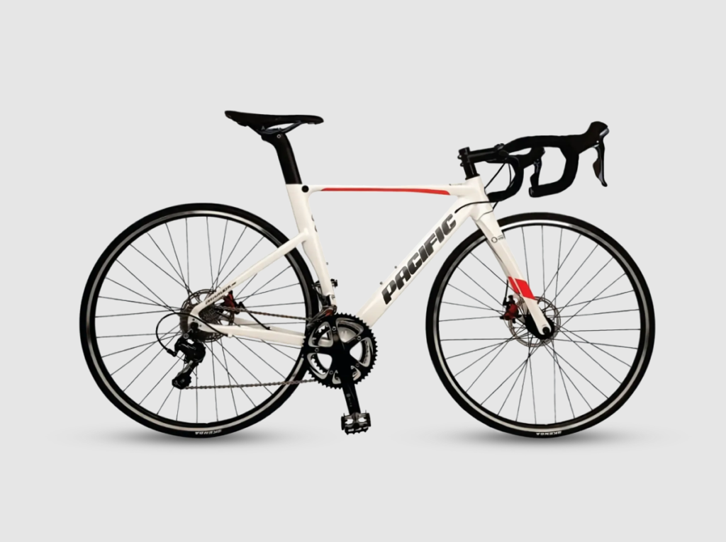 Jenis Sepeda Roadbike