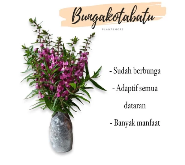 Cara Mengatasi Nyamuk di Kamar