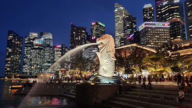 Apakah ke Singapura Perlu Paspor