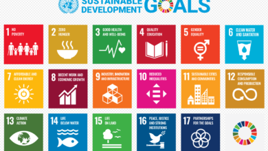 Sustainable Development Goals Artinya