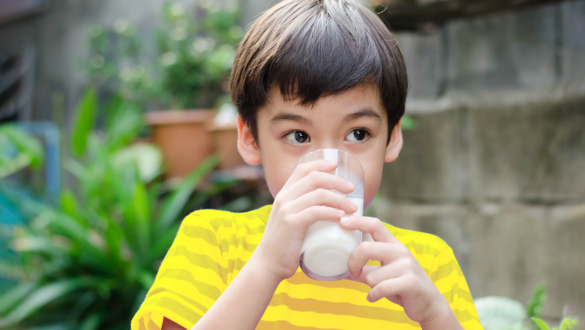 Kandungan Susu Dancow Full Cream