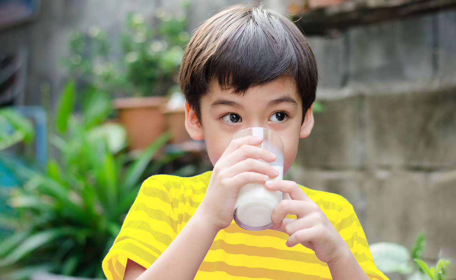 Kandungan Susu Dancow Full Cream