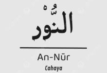 Arti Perkata Surat AnNur Ayat 2