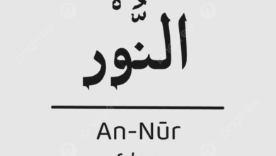 Arti Perkata Surat AnNur Ayat 2