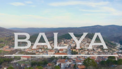 Balya Artinya dan Pengaruhnya di Dunia Teknologi