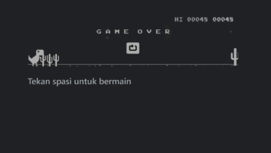 Game Bawaan Google