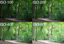 ISO Dalam Kamera Adalah
