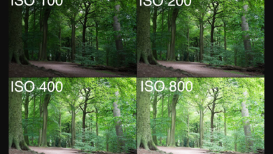 ISO Dalam Kamera Adalah