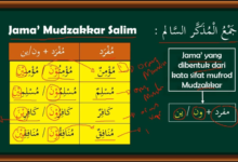 40 Contoh Jamak Mudzakkar Salim