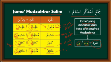 40 Contoh Jamak Mudzakkar Salim