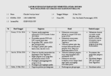 Contoh Laporan Harian KKN Individu yang Efektif dan Informatif