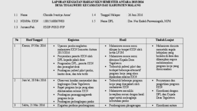 Contoh Laporan Harian KKN Individu yang Efektif dan Informatif