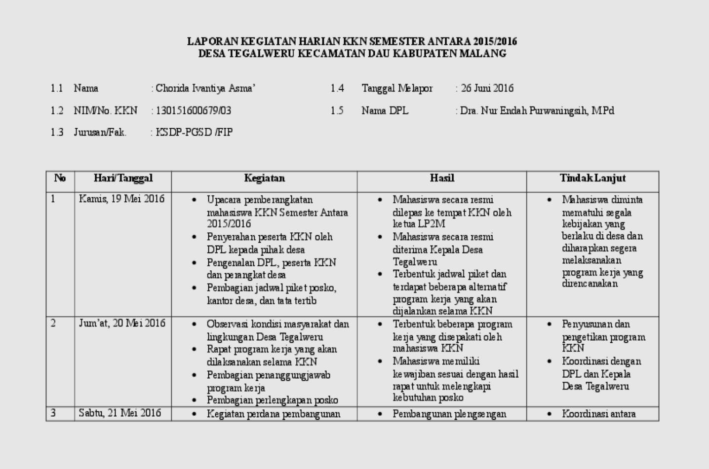 Contoh Laporan Harian KKN Individu yang Efektif dan Informatif