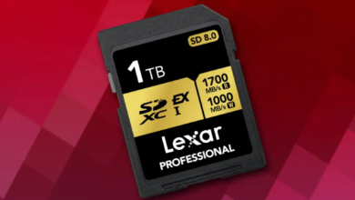 Lexar SD 8.0