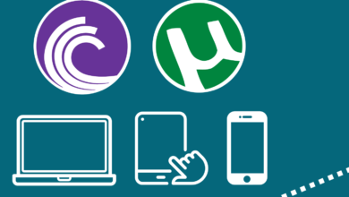 Apakah VPN Benar-Benar Menyembunyikan Aktivitas Torrent?