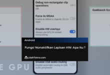 Fungsi Nonaktifkan Lapisan HW: Apa Itu ?