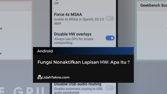 Fungsi Nonaktifkan Lapisan HW: Apa Itu ?