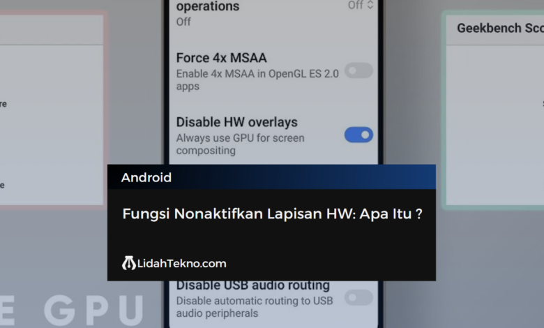 Fungsi Nonaktifkan Lapisan HW: Apa Itu ?