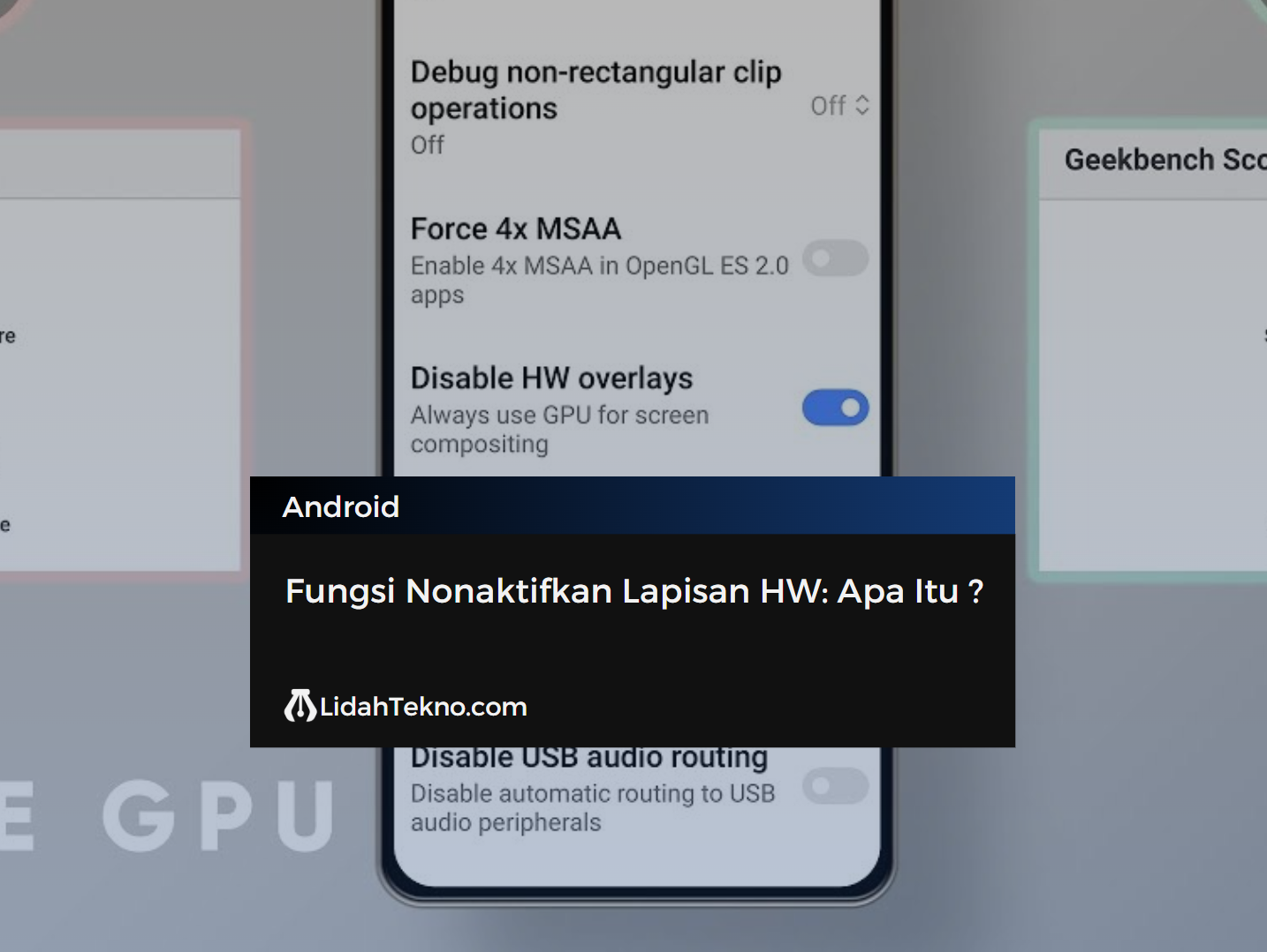 Fungsi Nonaktifkan Lapisan HW: Apa Itu ?