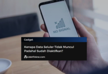 Kenapa Data Seluler Tidak Muncul Padahal Sudah Diaktifkan?