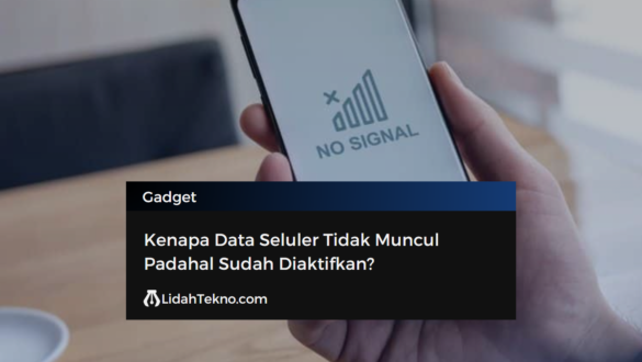 Kenapa Data Seluler Tidak Muncul Padahal Sudah Diaktifkan?