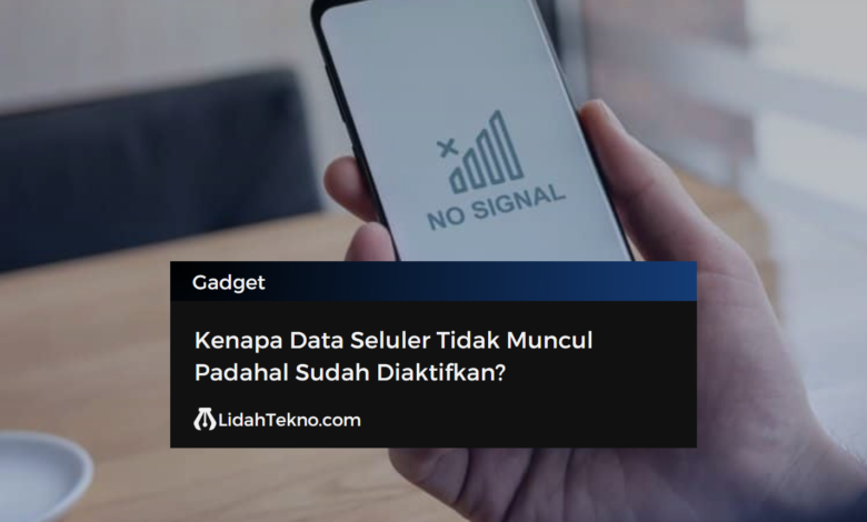 Kenapa Data Seluler Tidak Muncul Padahal Sudah Diaktifkan?