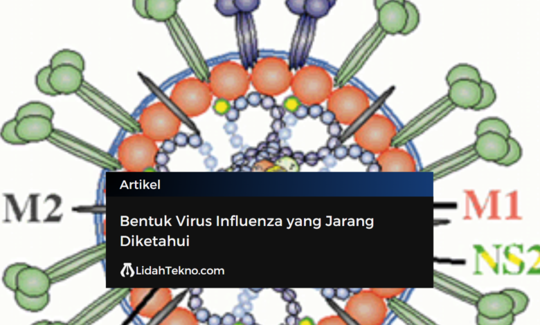 Bentuk Virus Influenza yang Jarang Diketahui