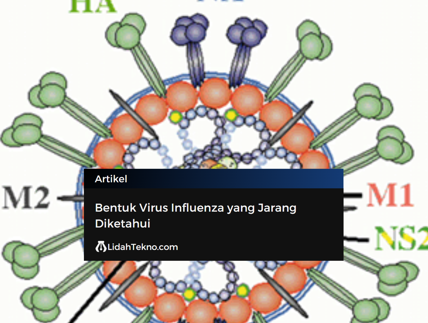 Bentuk Virus Influenza yang Jarang Diketahui