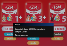 Benarkah Susu SGM Mengandung Banyak Gula?