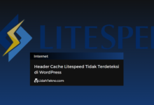Header Cache Litespeed Tidak Terdeteksi di WordPress