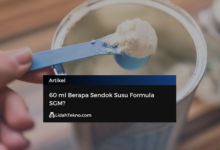 60 ml Berapa Sendok Susu Formula SGM?