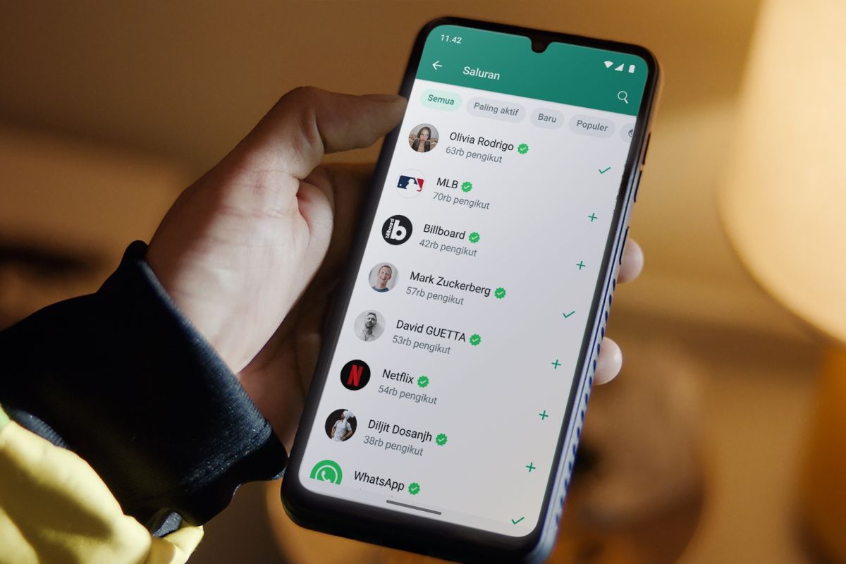 Cara Meminta Sumbangan Lewat WA Secara Efektif