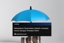 Reksadana Terproteksi Adalah: Investasi Aman dengan Proteksi 100%