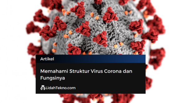 Memahami Struktur Virus Corona dan Fungsinya
