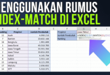 Fungsi INDEX MATCH pada Excel: Penjelasan Lengkap dan Contoh Praktis