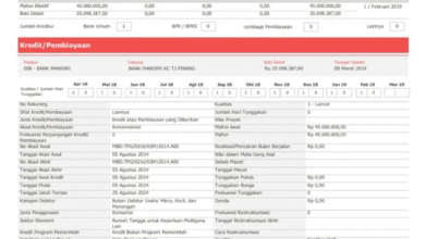 Pinjaman Apa Saja yang Masuk BI Checking (SLIK OJK)