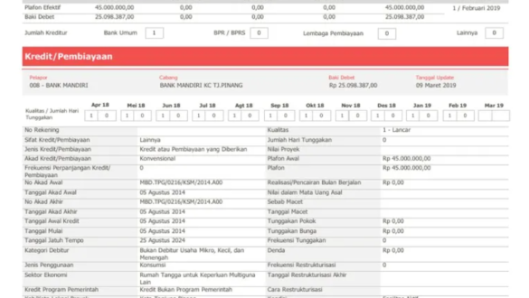 Pinjaman Apa Saja yang Masuk BI Checking (SLIK OJK)